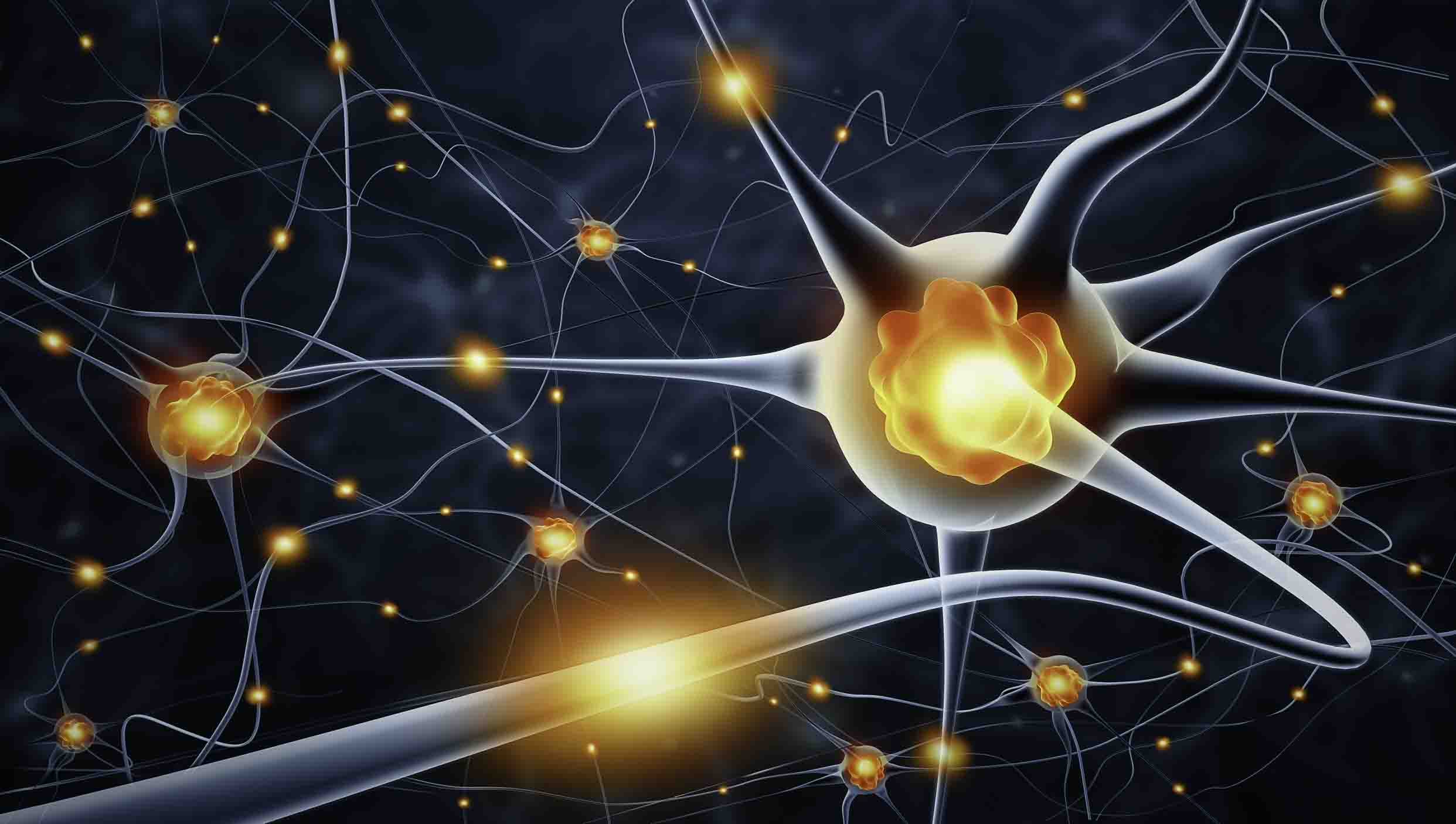 interconnected neurons firing
