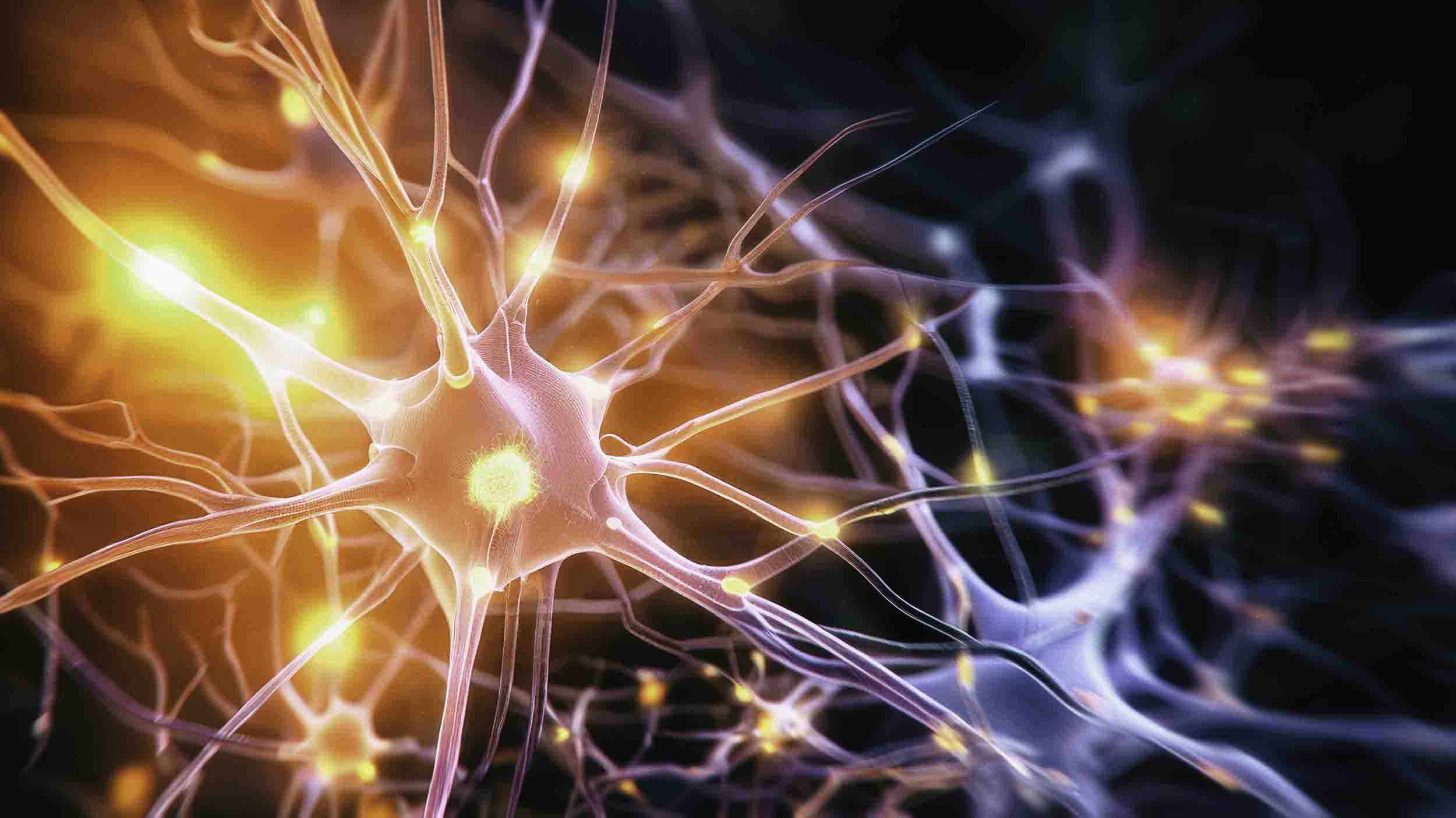 interconnected neurons firing